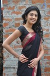 Pranitha New Gallery - 103 of 104