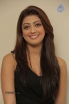 Pranitha New Gallery - 15 of 46