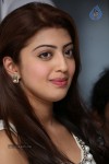 Pranitha New Pics - 3 of 92