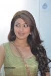 Pranitha Photos - 3 of 81