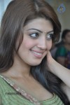 Pranitha Photos - 4 of 81