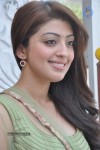 Pranitha Photos - 16 of 81