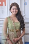 Pranitha Photos - 19 of 81