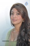 Pranitha Photos - 21 of 81