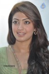 Pranitha Photos - 67 of 81