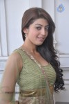 Pranitha Photos - 73 of 81