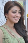 Pranitha Photos - 77 of 81