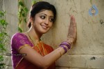 Pranitha Stills - 9 of 57