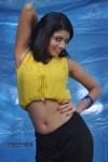 Preksha Sri Hot Stills - 9 of 43