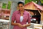 Priyamani New Photos - 12 of 55