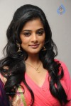 Priyamani New Photos - 69 of 81