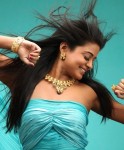 Priyamani New Pics - 5 of 14