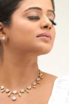 Priyamani New Pics - 13 of 14