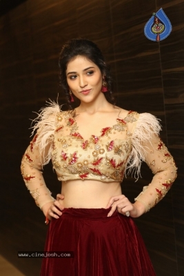 Priyanka Jawalkar at Taxiwala Pre Release - 3 of 17