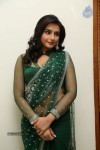 Raagini Spicy Pics - 43 of 51