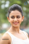 Rakul Preeth Singh Gallery - 13 of 133