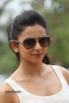 Rakul Preeth Singh Gallery - 20 of 133