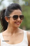 Rakul Preeth Singh Gallery - 44 of 133