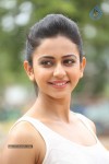 Rakul Preeth Singh Gallery - 51 of 133