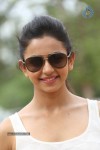 Rakul Preeth Singh Gallery - 60 of 133