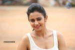 Rakul Preeth Singh Gallery - 61 of 133