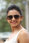 Rakul Preeth Singh Gallery - 95 of 133