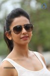 Rakul Preeth Singh Gallery - 115 of 133