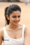 Rakul Preeth Singh Gallery - 119 of 133