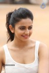 Rakul Preeth Singh Gallery - 124 of 133