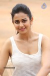 Rakul Preeth Singh Gallery - 126 of 133