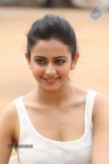 Rakul Preeth Singh Gallery - 127 of 133