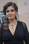 Raveena Tandon Hot Stills - 58 of 63