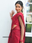 Reshmi New Stills - 1 of 25