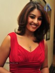 Richa Gangopadhyay Photos - 12 of 44