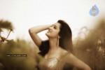 Richa Panai Hot Portfolio - 13 of 17