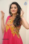 Richa Panai New Stills - 60 of 68