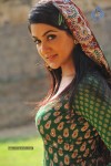 Sakshi Choudary Gallery - 114 of 152