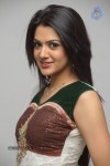 Sakshi Choudhary Gallery - 4 of 80