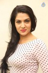 Sakshi Chowdhary New Photos - 75 of 85