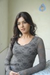 Samantha New Stills - 63 of 89