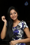 Sanam Shetty New Stills - 12 of 68