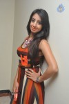 Sanjjanaa Latest Stills - 7 of 71