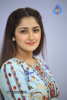 Sayesha Saigal Photos - 17 of 36