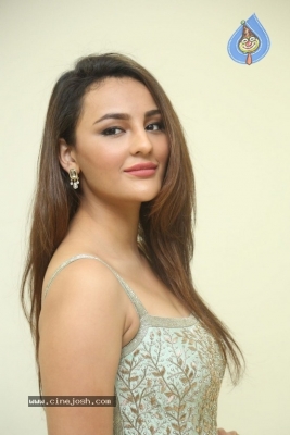 Seerat Kapoor Stills - 4 of 13