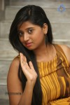 Shalini New Gallery  - 53 of 89