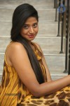 Shalini New Gallery  - 80 of 89