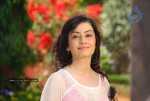 Shambhavi Latest Stills - 49 of 64