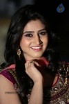 Shamili Gallery - 15 of 63