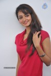 Shanvi Latest Photos - 2 of 85