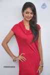 Shanvi Latest Photos - 6 of 85